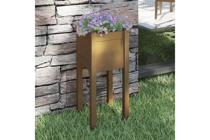 Plantekasse honningbrun 31x31x70 cm heltre furu - Brun - Blomsterkasser - Hagekrukker