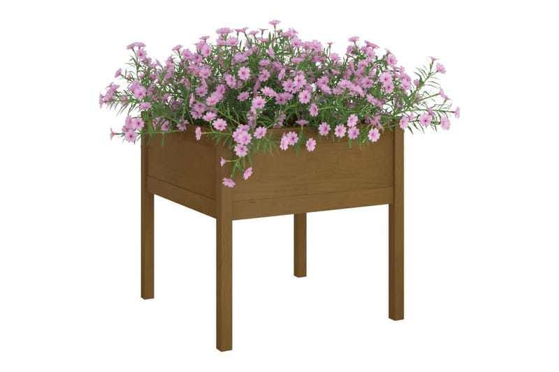 Plantekasse honningbrun 70x70x70 cm heltre furu - Brun - Blomsterkasser - Hagekrukker