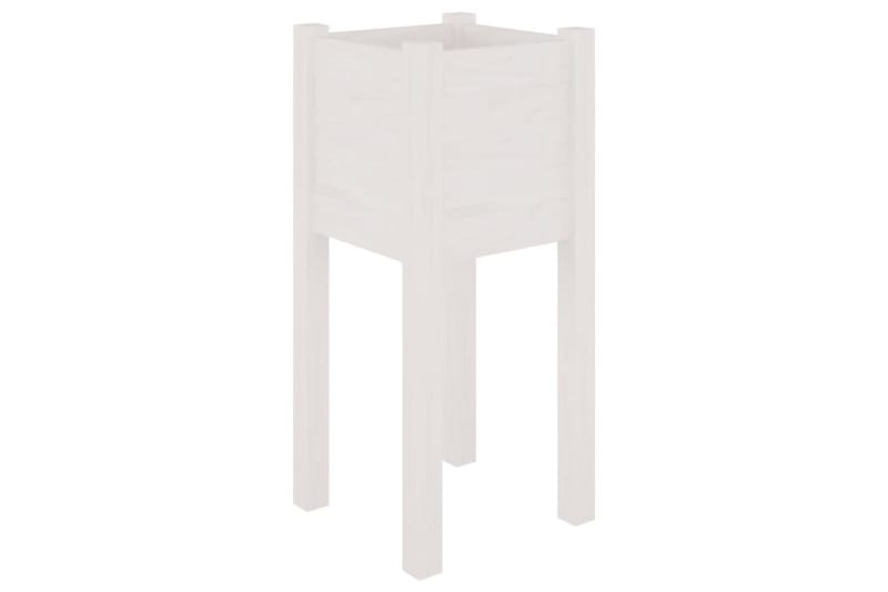 Plantekasse hvit 31x31x70 cm heltre furu - Hvit - Hagemøbler - Øvrig utendørs - Tilbehør utendørs - Hagekrukker
