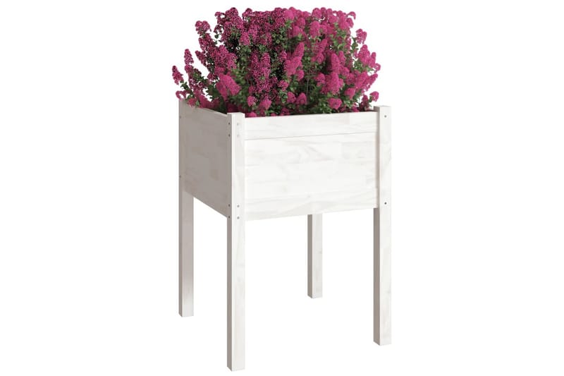 Plantekasse hvit 50x50x70 cm heltre furu - Hvit - Hagemøbler - Øvrig utendørs - Tilbehør utendørs - Hagekrukker