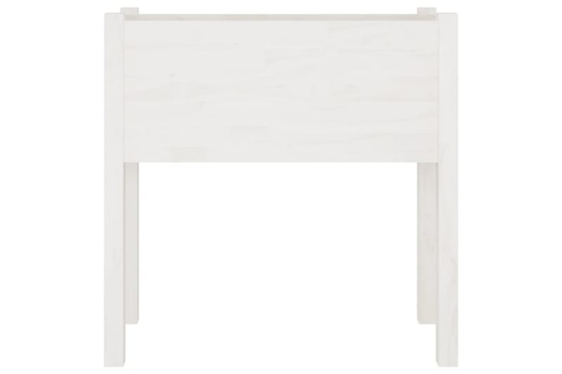 Plantekasse hvit 70x31x70 cm heltre furu - Hvit - Hagemøbler - Øvrig utendørs - Tilbehør utendørs - Hagekrukker