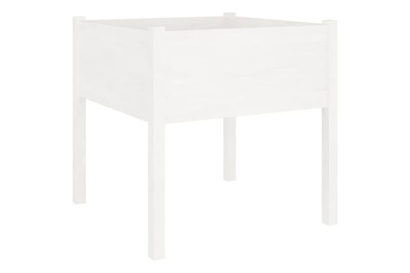 Plantekasse hvit 70x70x70 cm heltre furu - Hvit - Hagemøbler - Øvrig utendørs - Tilbehør utendørs - Hagekrukker