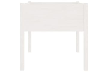 Plantekasse hvit 70x70x70 cm heltre furu - Hvit - Hagemøbler - Øvrig utendørs - Tilbehør utendørs - Hagekrukker