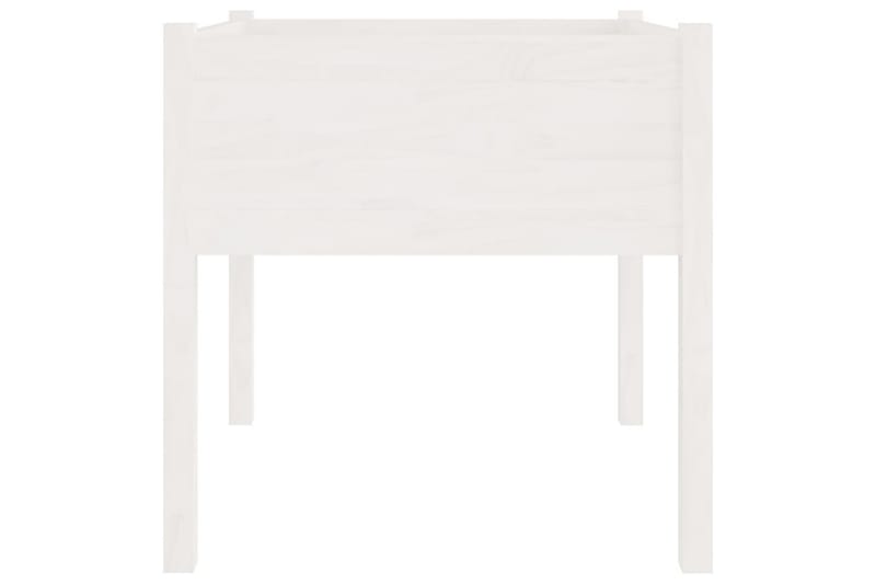 Plantekasse hvit 70x70x70 cm heltre furu - Hvit - Hagemøbler - Øvrig utendørs - Tilbehør utendørs - Hagekrukker
