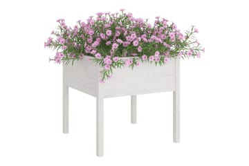 Plantekasse hvit 70x70x70 cm heltre furu - Hvit - Hagemøbler - Øvrig utendørs - Tilbehør utendørs - Hagekrukker