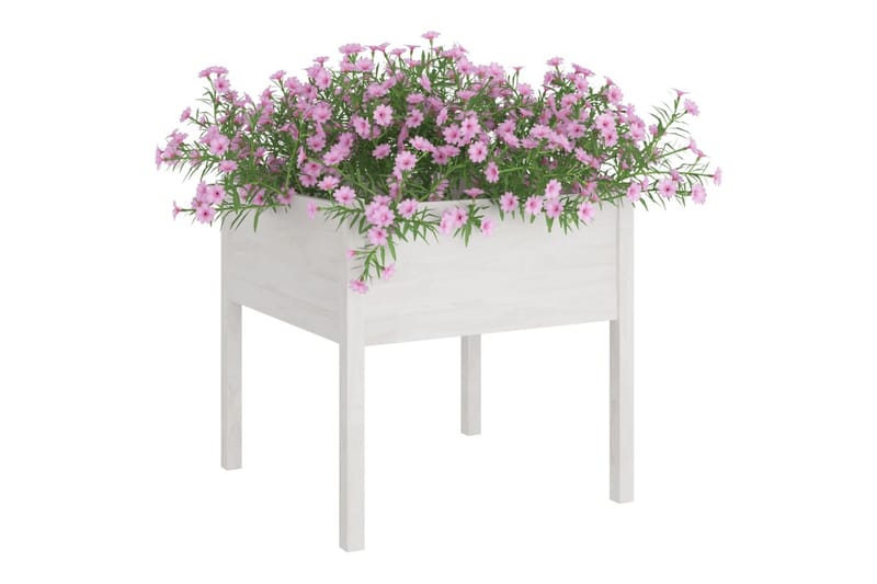 Plantekasse hvit 70x70x70 cm heltre furu - Hvit - Hagemøbler - Øvrig utendørs - Tilbehør utendørs - Hagekrukker