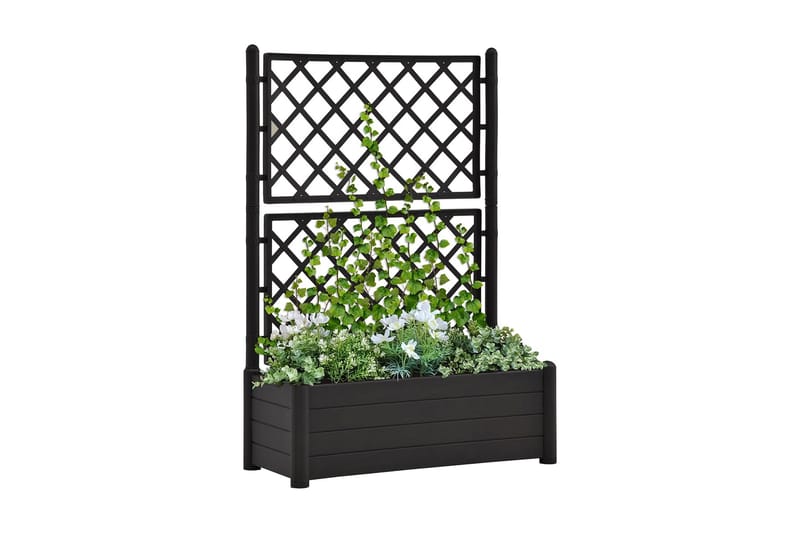 Plantekasse med espalier 100x43x142 cm PP antrasitt - Antrasittgrå - Hagemøbler - Øvrig utendørs - Tilbehør utendørs - Hagekrukker