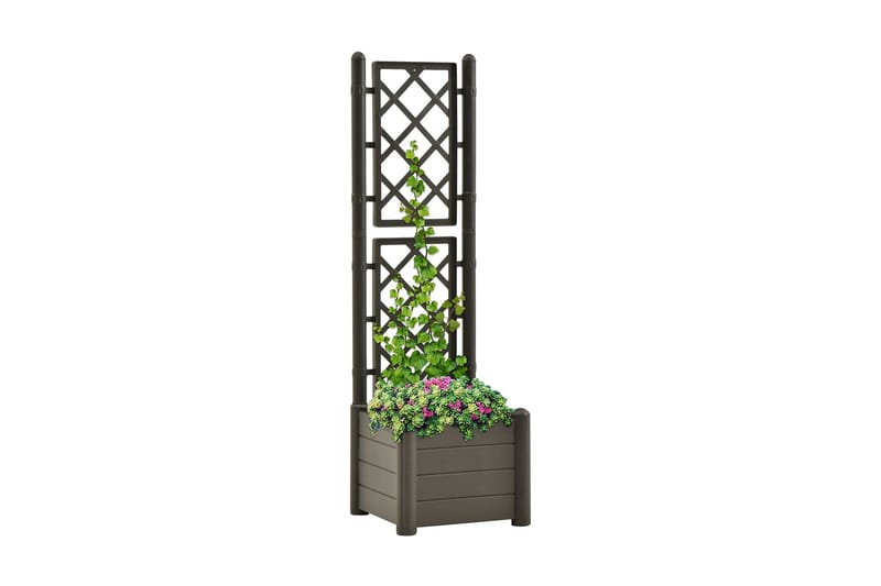 Plantekasse med espalier 43x43x142 cm PP antrasitt - Antrasittgrå - Hagemøbler - Øvrig utendørs - Tilbehør utendørs - Hagekrukker