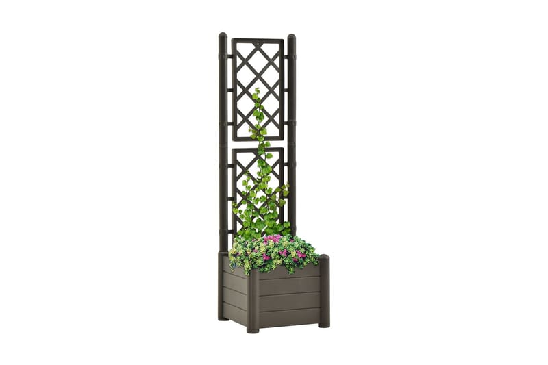 Plantekasse med espalier 43x43x142 cm PP antrasitt - Antrasittgrå - Blomsterkasser - Hagekrukker