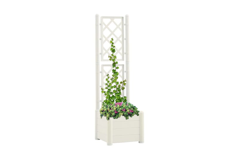 Plantekasse med espalier 43x43x142 cm PP hvit - Hvit - Hagemøbler - Øvrig utendørs - Tilbehør utendørs - Hagekrukker