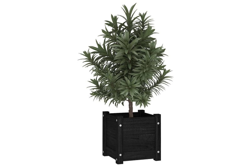 Plantekasse svart 31x31x31 cm heltre furu - Svart - Hagemøbler - Øvrig utendørs - Tilbehør utendørs - Hagekrukker