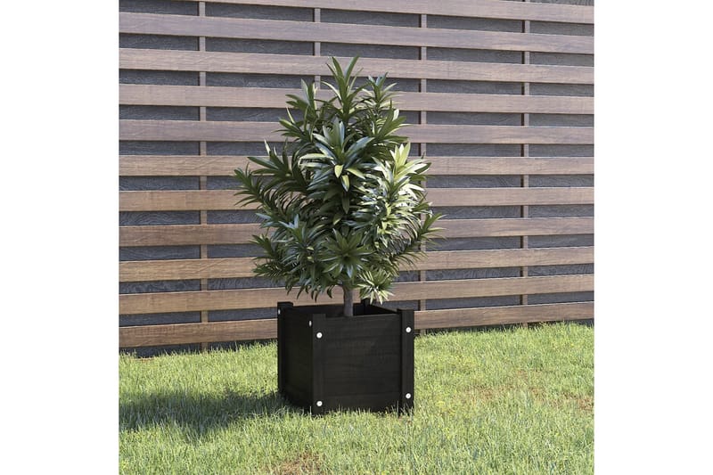 Plantekasse svart 31x31x31 cm heltre furu - Svart - Hagemøbler - Øvrig utendørs - Tilbehør utendørs - Hagekrukker