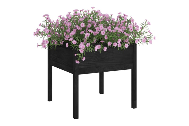 Plantekasse svart 70x70x70 cm heltre furu - Svart - Blomsterkasser - Hagekrukker