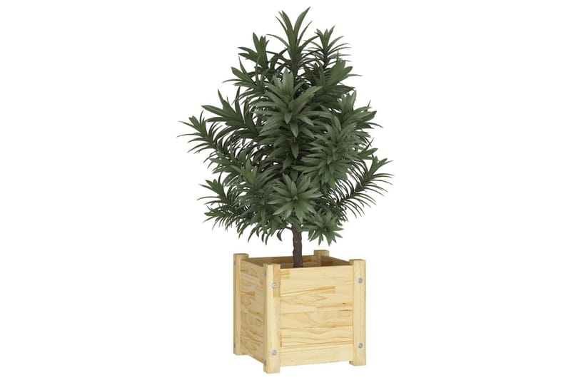 Plantekasser 2 stk 31x31x31 cm heltre furu - Brun - Hagekrukker - Blomsterkasser