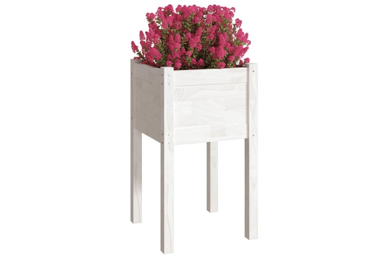 Plantekasser 2 stk 40x40x70 cm heltre furu hvit - Hvit - Blomsterkasser - Hagekrukker