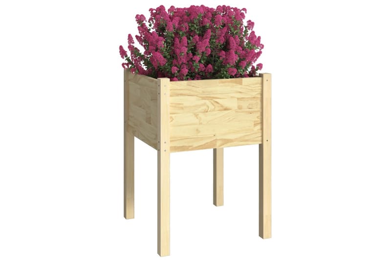 Plantekasser 2 stk 50x50x70 cm heltre furu - Brun - Blomsterkasser - Hagekrukker