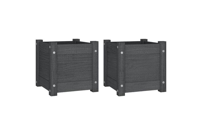 Plantekasser 2 stk grå 31x31x31 cm heltre furu - Grå - Hagemøbler - Øvrig utendørs - Tilbehør utendørs - Hagekrukker