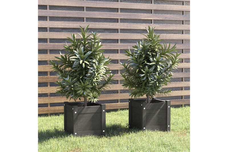 Plantekasser 2 stk grå 31x31x31 cm heltre furu - Grå - Hagemøbler - Øvrig utendørs - Tilbehør utendørs - Hagekrukker