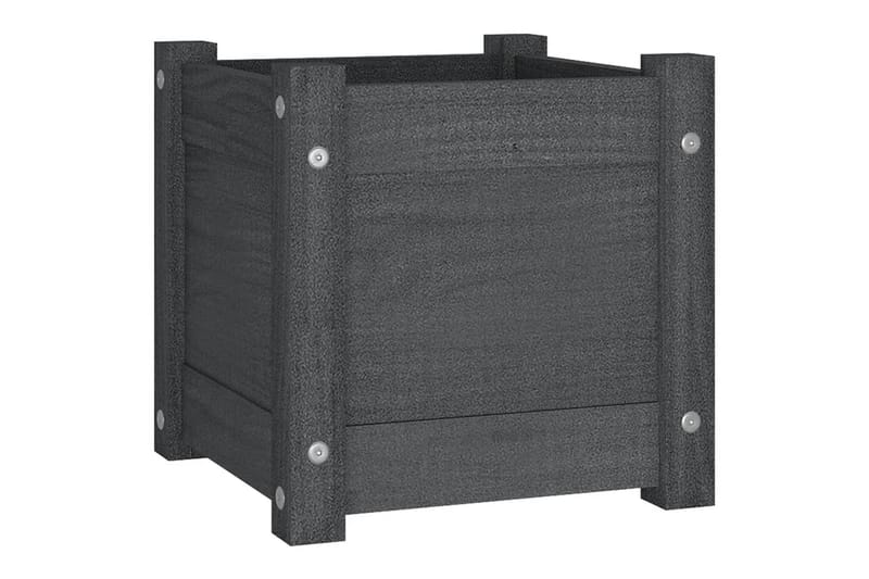 Plantekasser 2 stk grå 31x31x31 cm heltre furu - Grå - Hagemøbler - Øvrig utendørs - Tilbehør utendørs - Hagekrukker