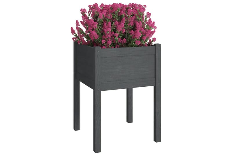 Plantekasser 2 stk grå 50x50x70 cm heltre furu - Grå - Hagemøbler - Øvrig utendørs - Tilbehør utendørs - Hagekrukker