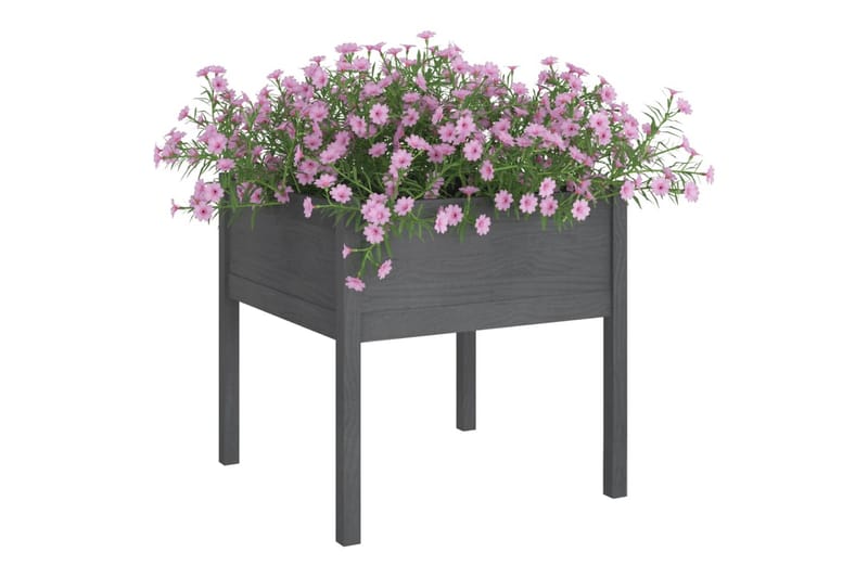 Plantekasser 2 stk grå 70x70x70 heltre furu - Grå - Blomsterkasser - Hagekrukker