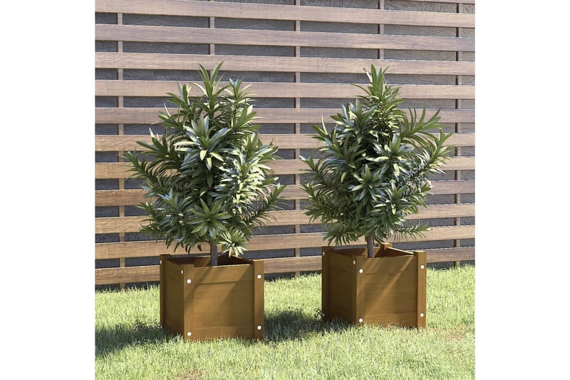 Plantekasser 2 stk honningbrun 31x31x31 cm heltre furu - Brun - Blomsterkasser - Hagekrukker