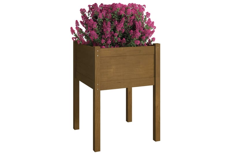 Plantekasser 2 stk honningbrun 50x50x70 cm heltre furu - Brun - Blomsterkasser - Hagekrukker