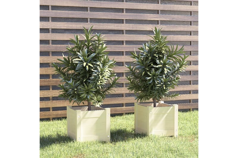 Plantekasser 2 stk hvit 31x31x31 cm heltre furu - Hvit - Hagemøbler - Øvrig utendørs - Tilbehør utendørs - Hagekrukker