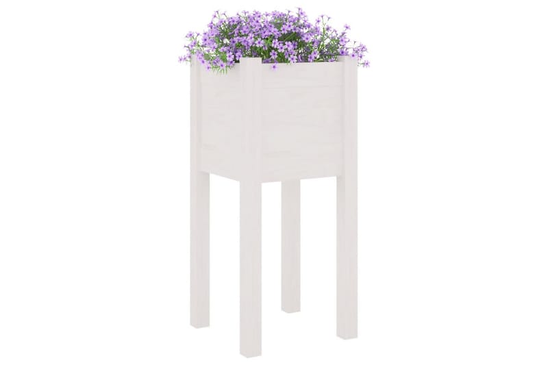 Plantekasser 2 stk hvit 31x31x70 cm heltre furu - Hvit - Blomsterkasser - Hagekrukker