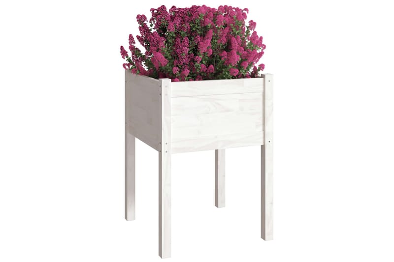 Plantekasser 2 stk hvit 50x50x70 cm heltre furu - Hvit - Hagemøbler - Øvrig utendørs - Tilbehør utendørs - Hagekrukker