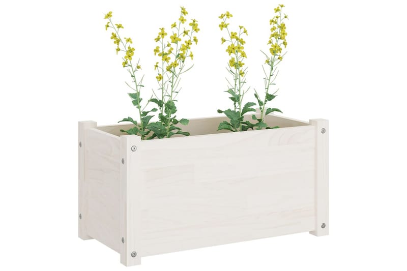 Plantekasser 2 stk hvit 60x31x31 cm heltre furu - Hvit - Hagemøbler - Øvrig utendørs - Tilbehør utendørs - Hagekrukker
