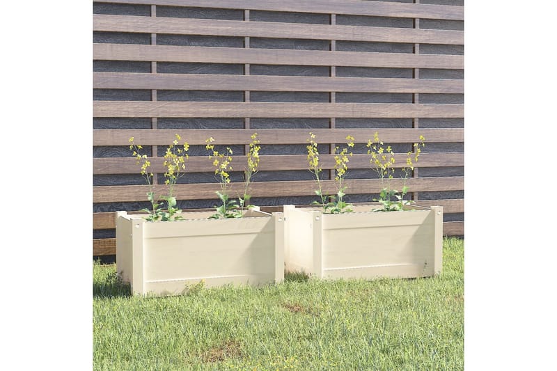 Plantekasser 2 stk hvit 60x31x31 cm heltre furu - Hvit - Blomsterkasser - Hagekrukker