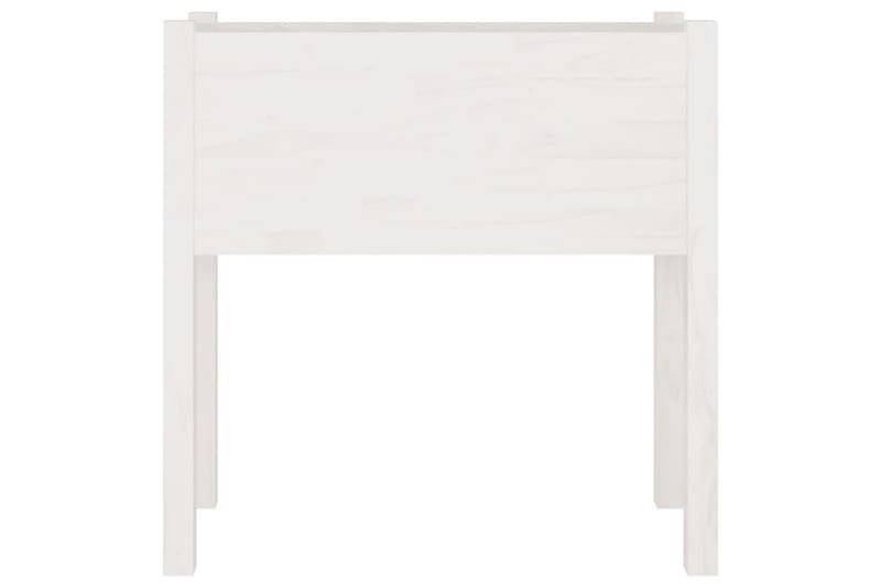 Plantekasser 2 stk hvit 70x31x70 cm heltre furu - Hvit - Hagemøbler - Øvrig utendørs - Tilbehør utendørs - Hagekrukker
