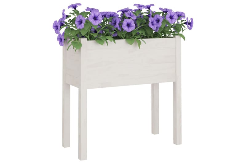 Plantekasser 2 stk hvit 70x31x70 cm heltre furu - Hvit - Hagemøbler - Øvrig utendørs - Tilbehør utendørs - Hagekrukker