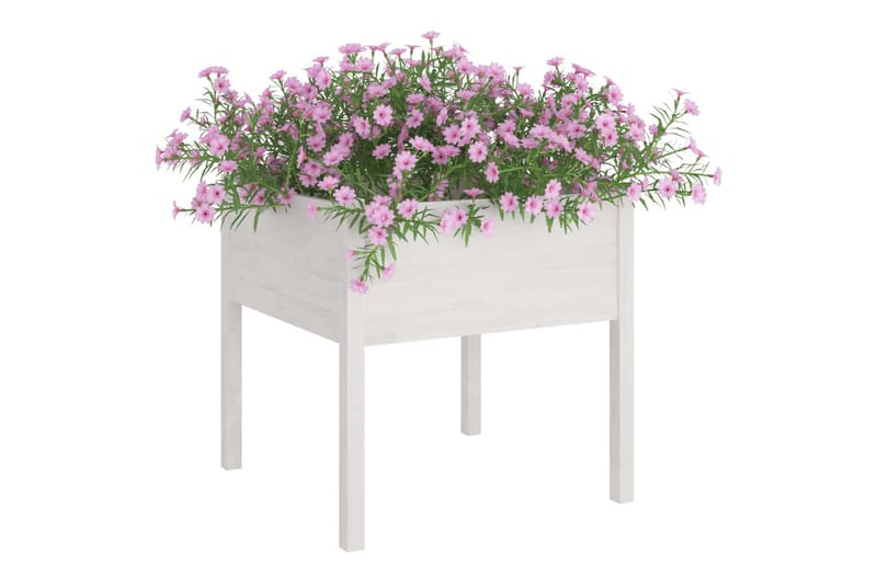 Plantekasser 2 stk hvit 70x70x70 heltre furu - Hvit - Blomsterkasser - Hagekrukker