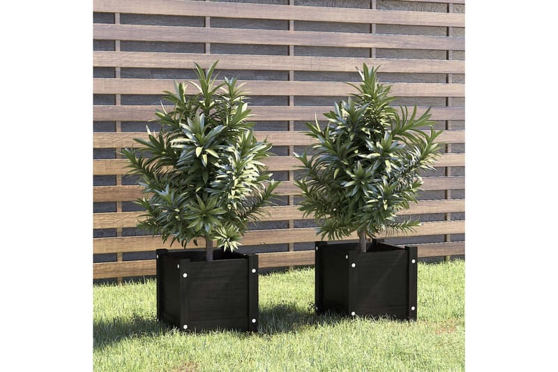 Plantekasser 2 stk svart 31x31x31 cm heltre furu - Svart - Blomsterkasser - Hagekrukker