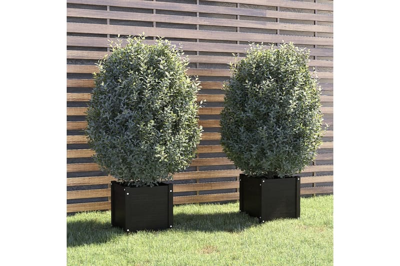 Plantekasser 2 stk svart 40x40x40 cm heltre furu - Svart - Blomsterkasser - Hagekrukker