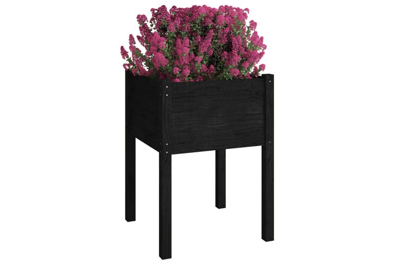 Plantekasser 2 stk svart 50x50x70 cm heltre furu - Svart - Blomsterkasser - Hagekrukker