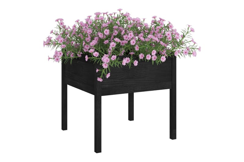 Plantekasser 2 stk svart 70x70x70 heltre furu - Svart - Blomsterkasser - Hagekrukker