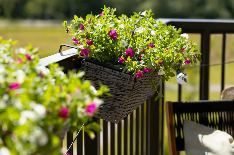 Balkongkasse Wicker Grå - Hagemøbler - Balkong - Balkongdyrking - Balkongboks