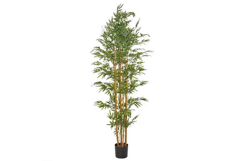 Konstgjord växt Beliani Bamboo Green, Light colored wood, undefined