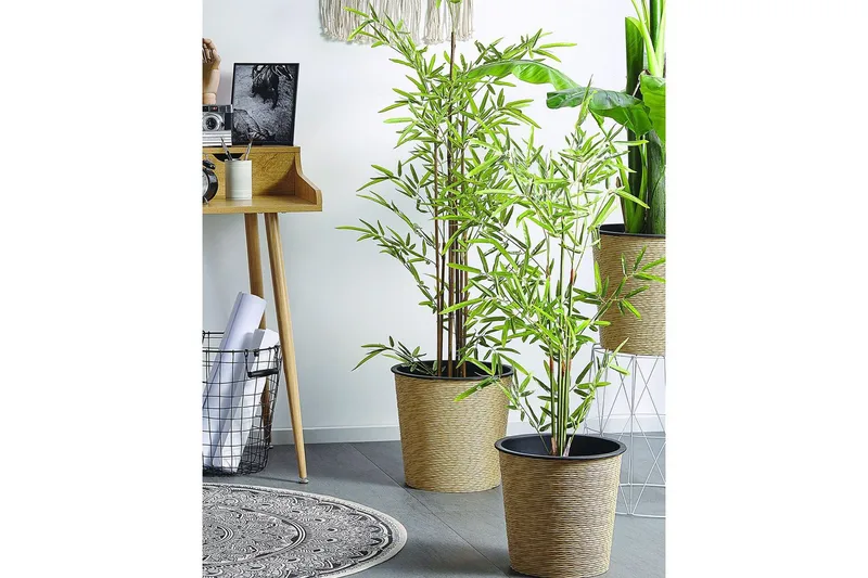Konstgjord växt Beliani Bambusa Vulgaris 9x9x100 cm Green||Black - Innredning - Kunstige planter