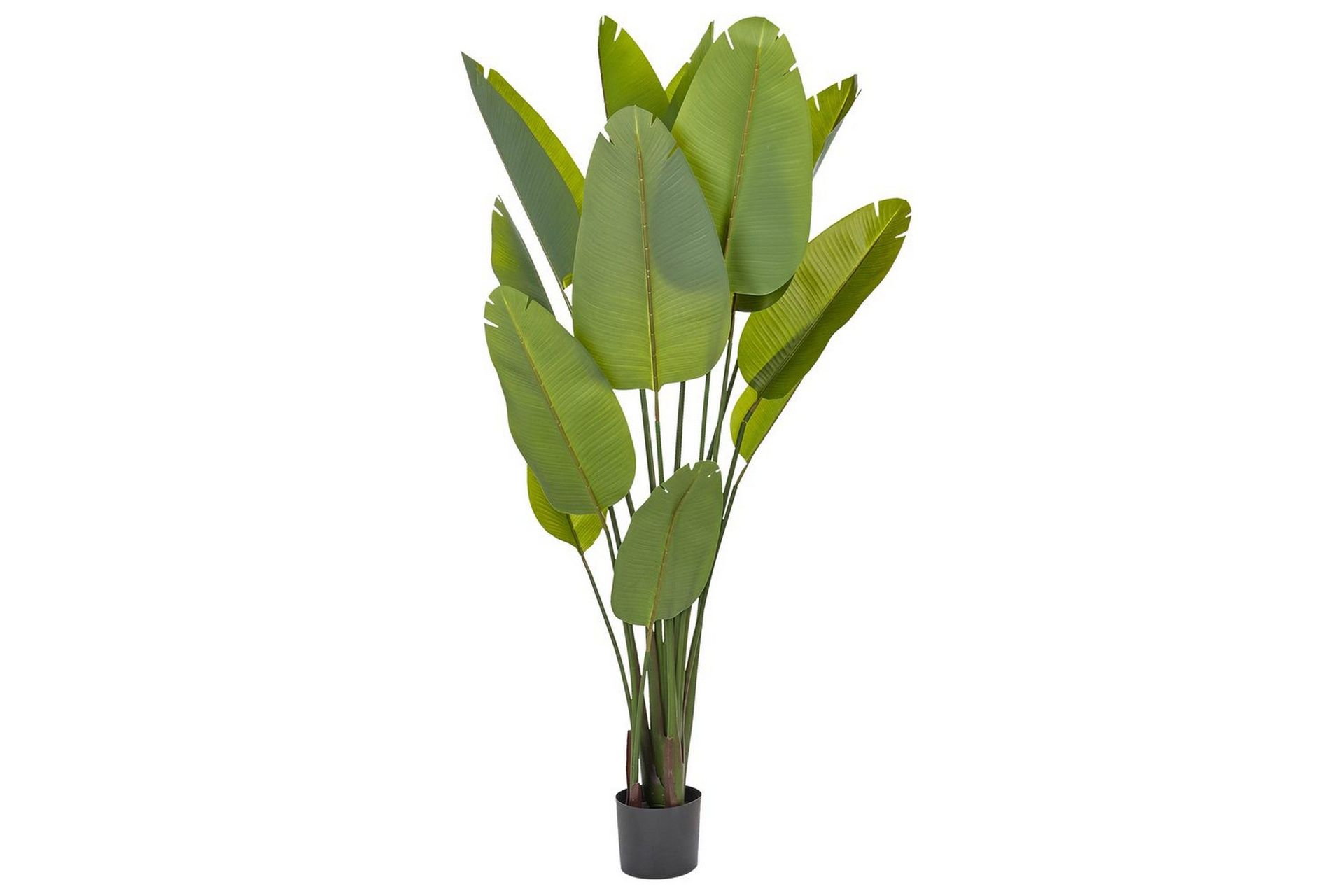 Konstgjord växt Beliani Banana Tree Grön/Svart, 115x115x187 cm Green\|\|Black -