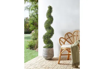 Konstgjord växt Beliani Buxus Spiral Tree 30x30x158 cm Green||Black - Innredning - Kunstige planter