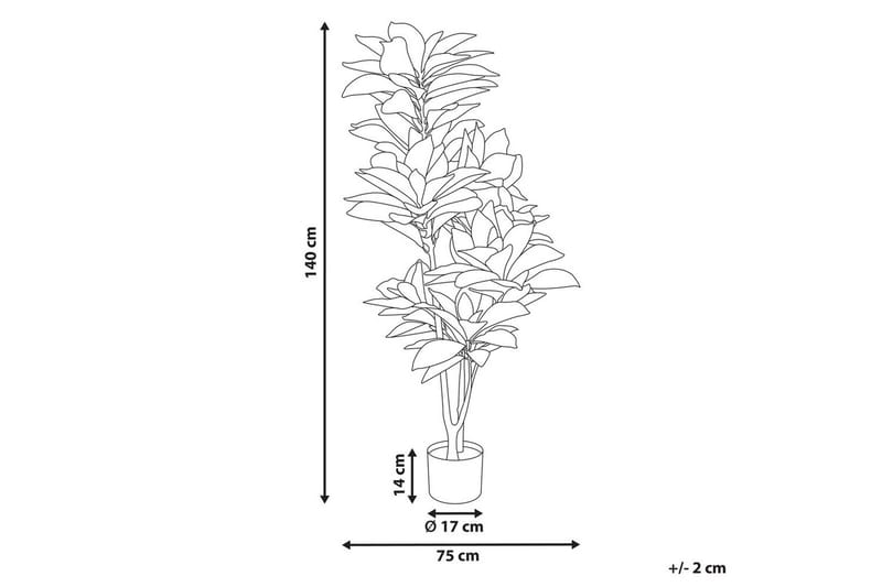 Konstgjord växt Beliani Codiaeum Green||Black||Brown - Innredning - Kunstige planter
