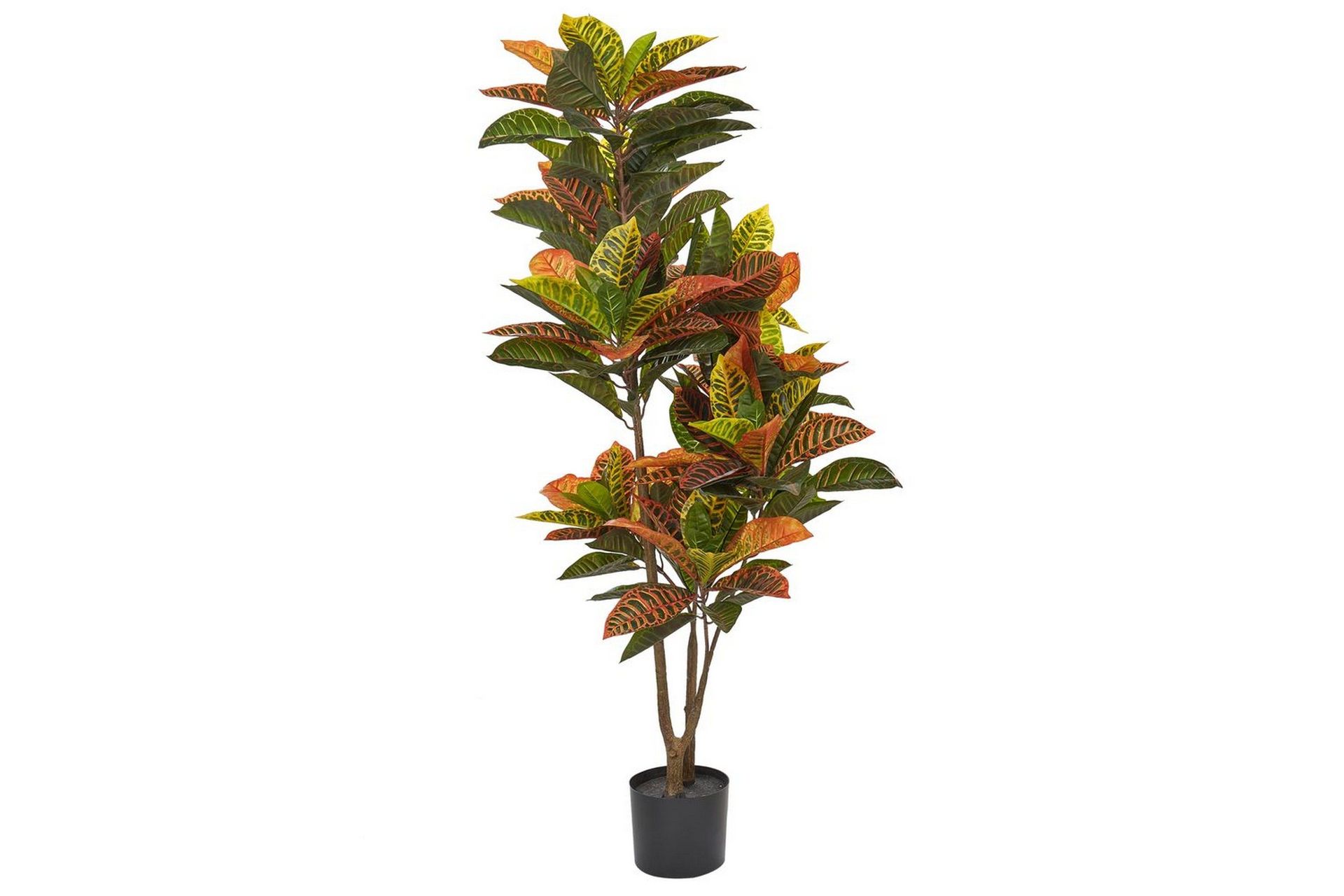 Konstgjord växt Beliani Codiaeum Green\|\|Black\|\|Brown -