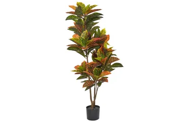 Konstgjord växt Beliani Codiaeum Green||Black||Brown - Innredning - Kunstige planter