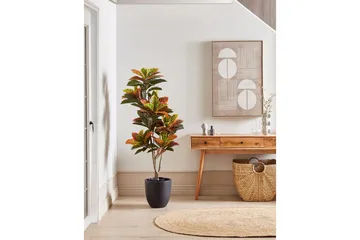 Konstgjord växt Beliani Codiaeum Green||Black||Brown - Innredning - Kunstige planter