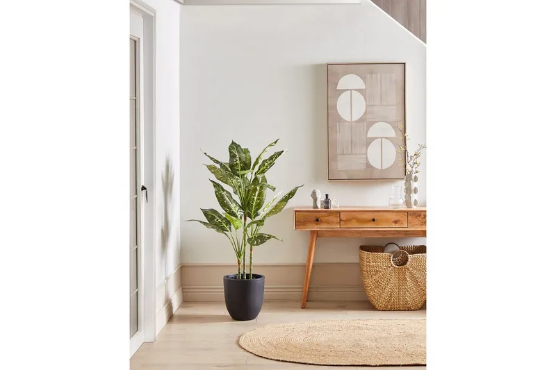 Konstgjord växt Beliani Dieffenbachia 55x55x110 cm Green||Black - Innredning - Kunstige planter