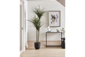 Konstgjord växt Beliani Dracaena Anita Green||Black - Innredning - Kunstige planter